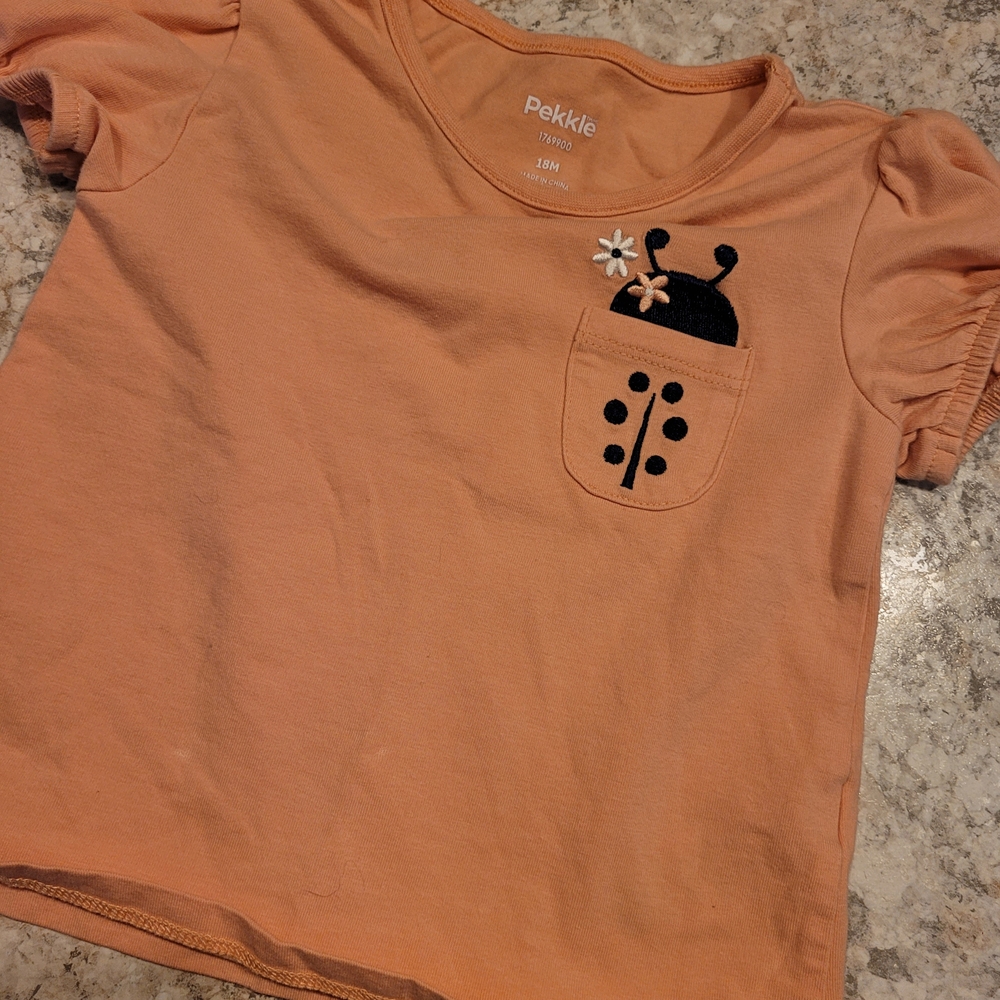 Orange Ladybug Pocket Tee for Kids
